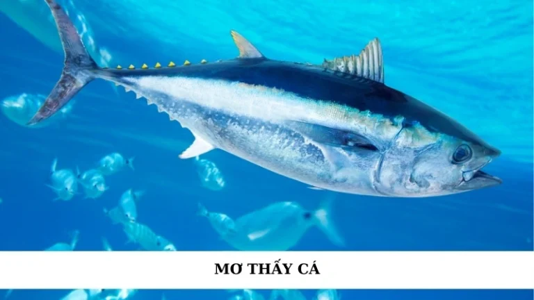 Mơ thấy cá